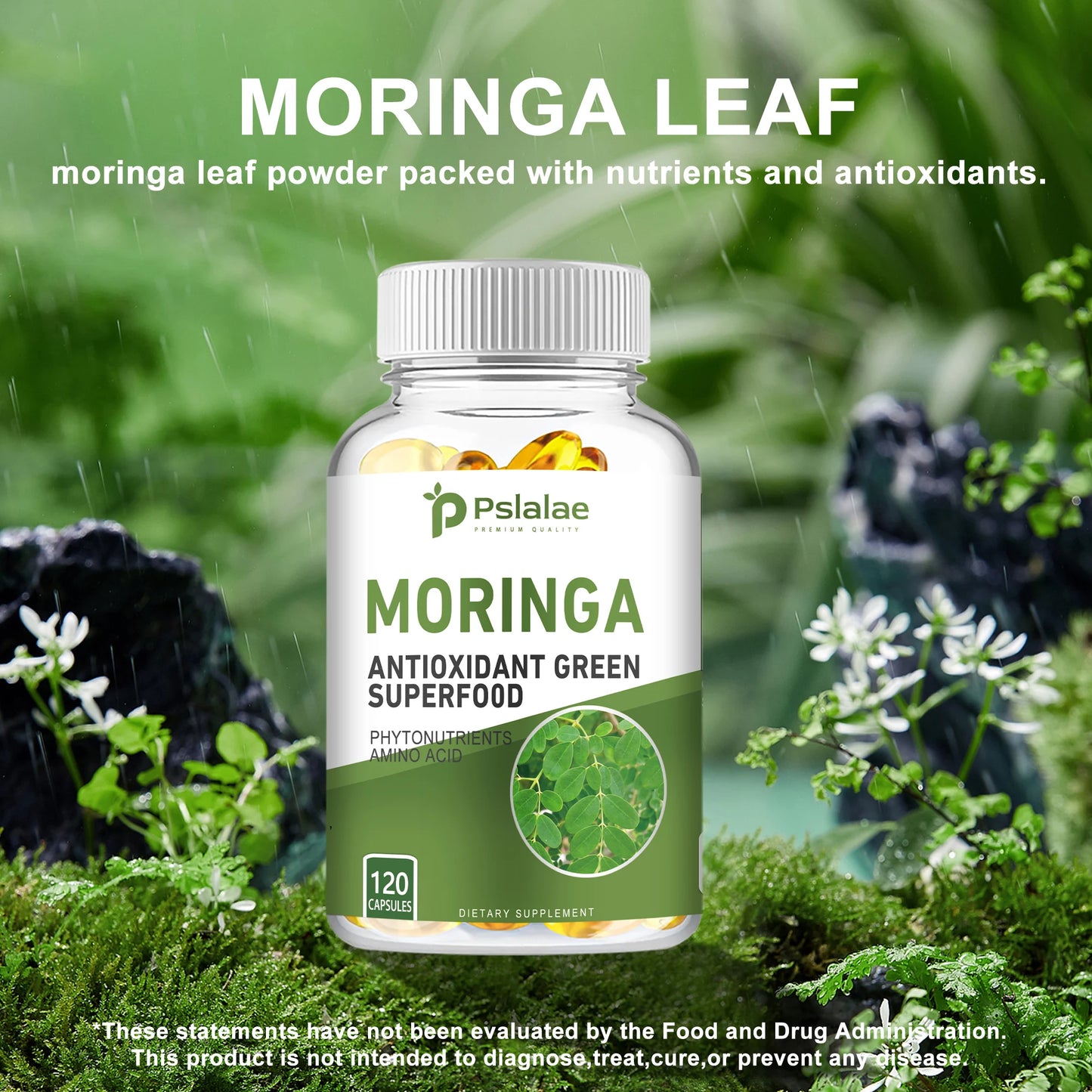 Moringa Capsules 1000mg