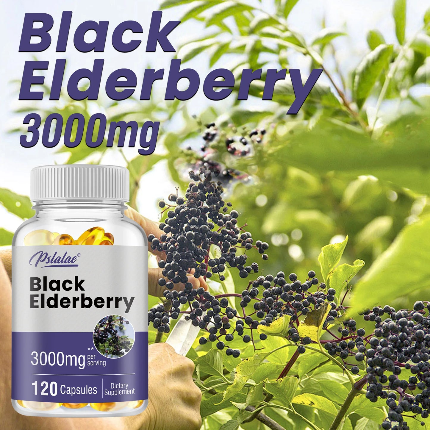 Black Elderberry Capsules 3000mg -