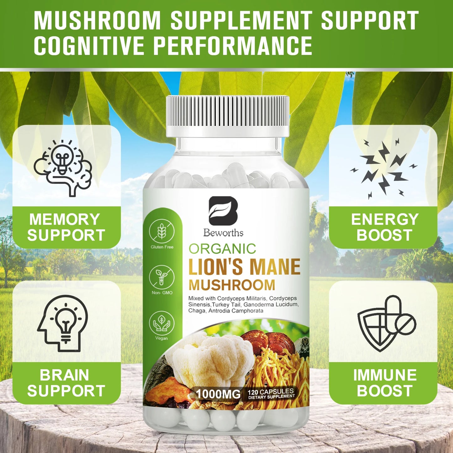 Lion's Mane Mushroom Capsules