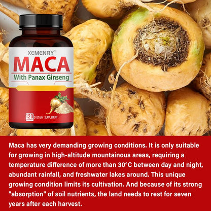 Maca with Panax Ginseng Capsules