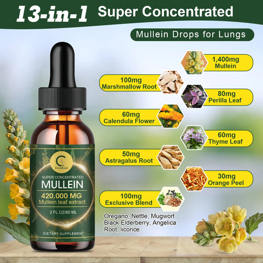 Mullein Leaf Extract Liquid Drops