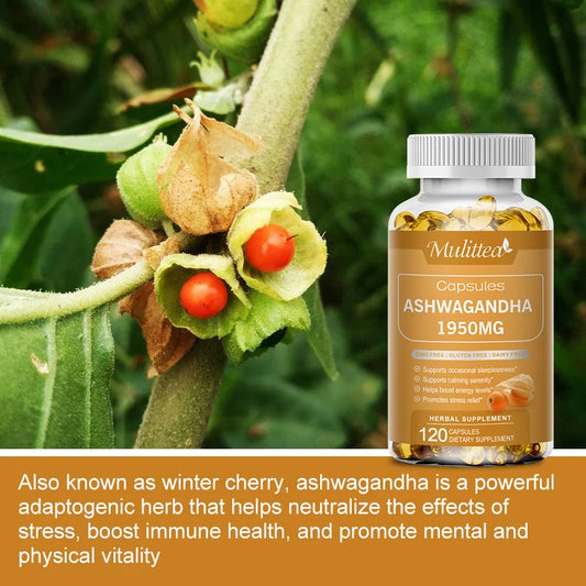 Ashwagandha Capsules 1950mg