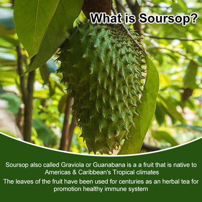 Soursop Graviola Capsules